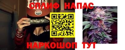 спиды Будённовск