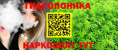 спиды Будённовск