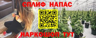 спиды Будённовск