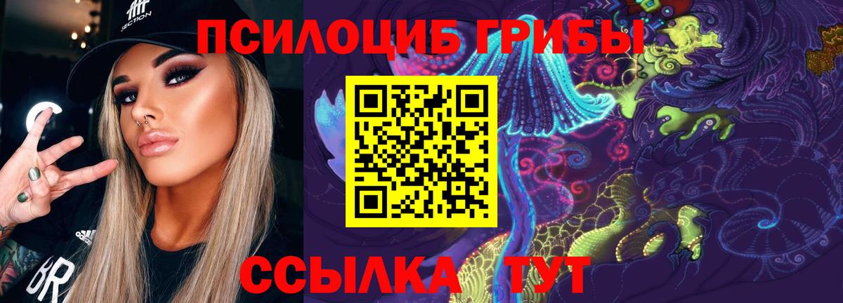 Галлюциногенные грибы ЛСД Кинешма