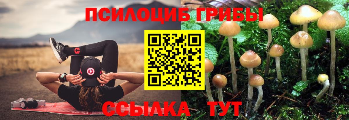 Кинешма  Псилоцибиновые грибы Psilocybe  где купить наркоту  Вход с VPN 